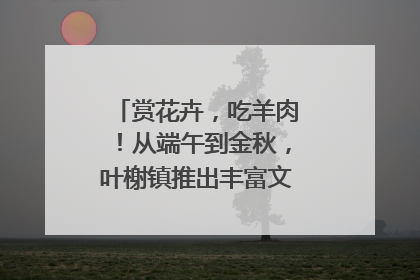 赏花卉，吃羊肉！从端午到金秋，叶榭镇推出丰富文旅活动邀您爽玩