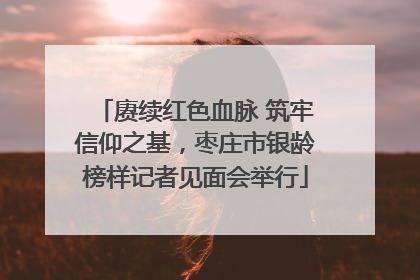 赓续红色血脉 筑牢信仰之基，枣庄市银龄榜样记者见面会举行