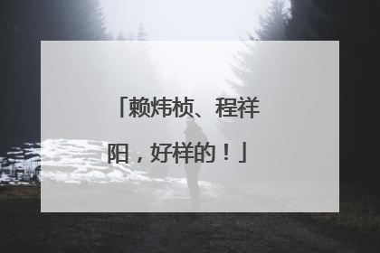 赖炜桢、程祥阳，好样的！
