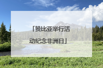 赞比亚举行活动纪念非洲日