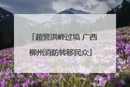 超警洪峰过境 广西柳州消防转移民众