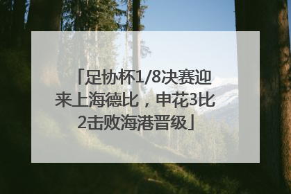 足协杯1/8决赛迎来上海德比，申花3比2击败海港晋级