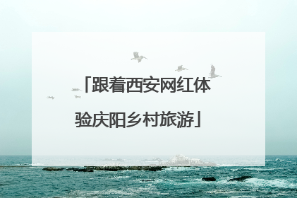 跟着西安网红体验庆阳乡村旅游