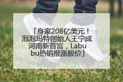 身家208亿美元！泡泡玛特创始人王宁成河南新首富，Labubu热销推涨股价