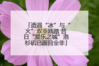 遭遇“冰”与“火”双重践踏 昔日“爱乐之城”洛杉矶已面目全非