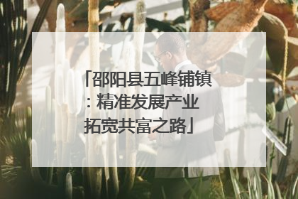 邵阳县五峰铺镇：精准发展产业 拓宽共富之路