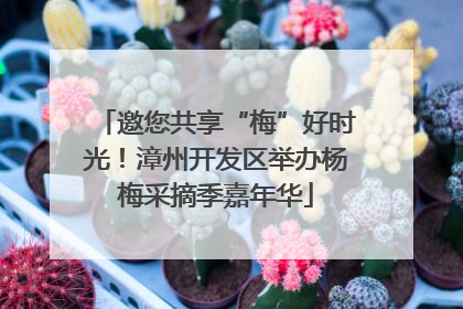 邀您共享“梅”好时光！漳州开发区举办杨梅采摘季嘉年华