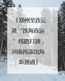 郑州至连云港“铁海直运”线路打通，河南再添出海新通道
