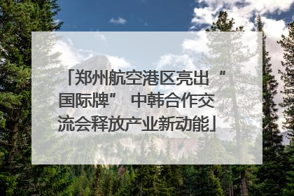郑州航空港区亮出“国际牌” 中韩合作交流会释放产业新动能
