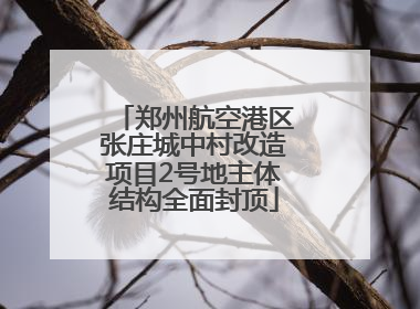 郑州航空港区张庄城中村改造项目2号地主体结构全面封顶