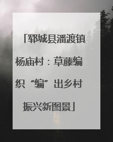 郓城县潘渡镇杨庙村：草藤编织“编”出乡村振兴新图景