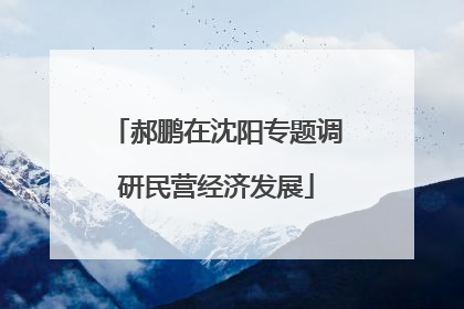 郝鹏在沈阳专题调研民营经济发展