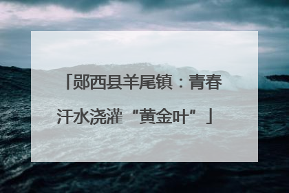 郧西县羊尾镇：青春汗水浇灌“黄金叶”