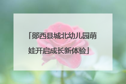 郧西县城北幼儿园萌娃开启成长新体验