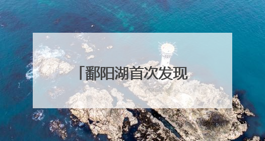 鄱阳湖首次发现彩鹮筑巢繁殖