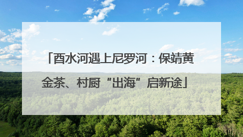 酉水河遇上尼罗河：保靖黄金茶、村厨“出海”启新途
