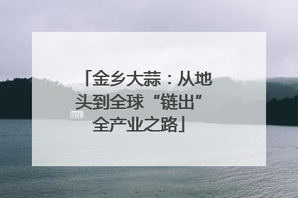 金乡大蒜：从地头到全球“链出”全产业之路