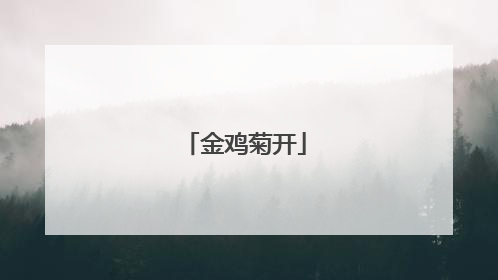 金鸡菊开