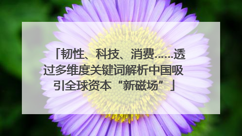韧性、科技、消费……透过多维度关键词解析中国吸引全球资本“新磁场”