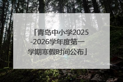 青岛中小学2025-2026学年度第一学期寒假时间公布
