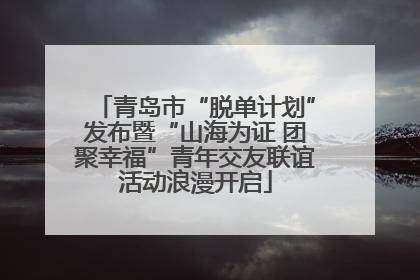 青岛市“脱单计划”发布暨“山海为证 团聚幸福”青年交友联谊活动浪漫开启