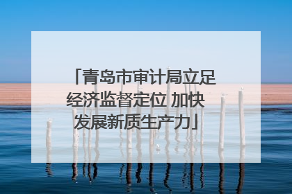青岛市审计局立足经济监督定位 加快发展新质生产力