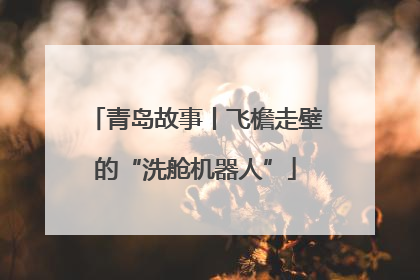 青岛故事丨飞檐走壁的“洗舱机器人”