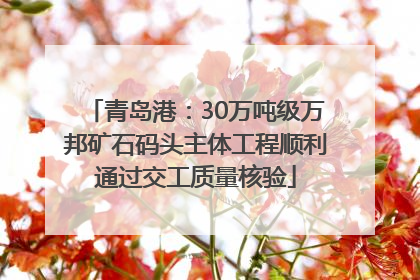 青岛港：30万吨级万邦矿石码头主体工程顺利通过交工质量核验