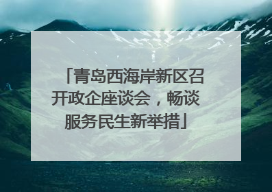 青岛西海岸新区召开政企座谈会，畅谈服务民生新举措