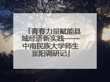 青春力量赋能县域经济新实践——中南民族大学师生襄阳调研记