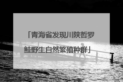 青海省发现川陕哲罗鲑野生自然繁殖种群