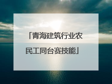 青海建筑行业农民工同台赛技能