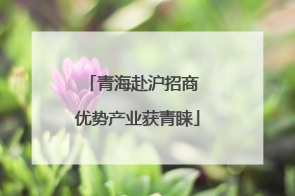 青海赴沪招商 优势产业获青睐