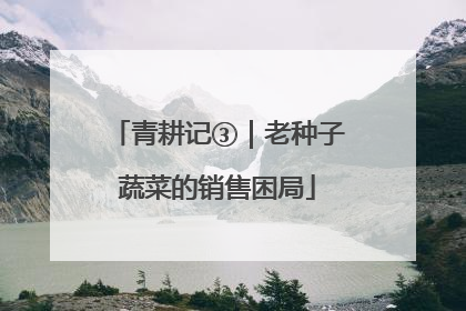 青耕记③｜老种子蔬菜的销售困局