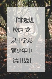 非遗进校园 龙泉中学龙狮少年申请出战