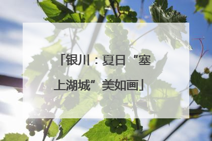 银川：夏日“塞上湖城”美如画