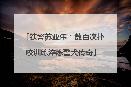 铁警苏亚伟：数百次扑咬训练淬炼警犬传奇