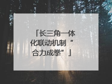 长三角一体化联动机制“合力成拳”