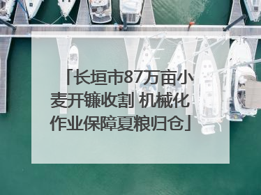 长垣市87万亩小麦开镰收割 机械化作业保障夏粮归仓