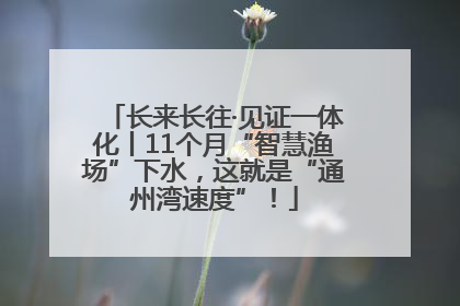 长来长往·见证一体化丨11个月“智慧渔场”下水，这就是“通州湾速度”！