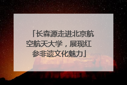 长森源走进北京航空航天大学，展现红参非遗文化魅力