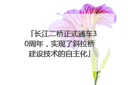 长江二桥正式通车30周年，实现了斜拉桥建设技术的自主化