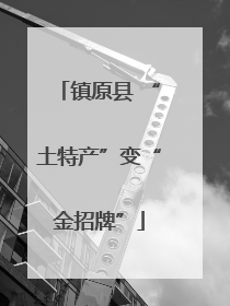 镇原县 “土特产”变“金招牌”