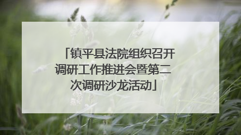 镇平县法院组织召开调研工作推进会暨第二次调研沙龙活动