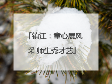 镇江：童心展风采 师生秀才艺