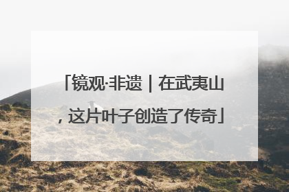 镜观·非遗｜在武夷山，这片叶子创造了传奇