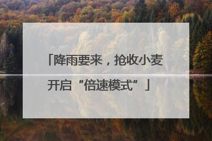 降雨要来，抢收小麦开启“倍速模式”