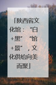 陕西省文化馆：“白+黑”“馆+景”，文化供给向美而聚