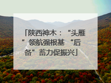 陕西神木：“头雁”领航强根基 “后备”蓄力促振兴