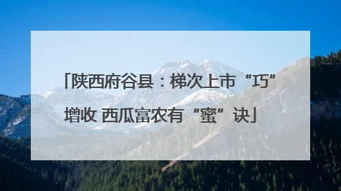 陕西府谷县：梯次上市“巧”增收 西瓜富农有“蜜”诀